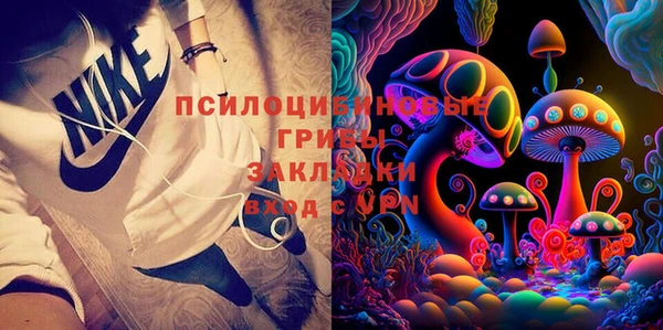 PSILOCYBIN Алзамай