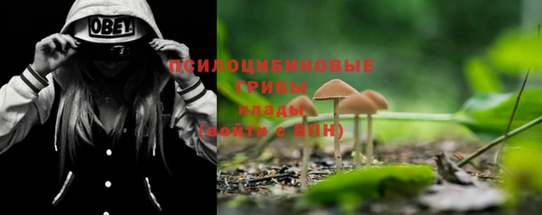PSILOCYBIN Алексеевка